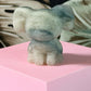 Sky Blue Jade ram 1