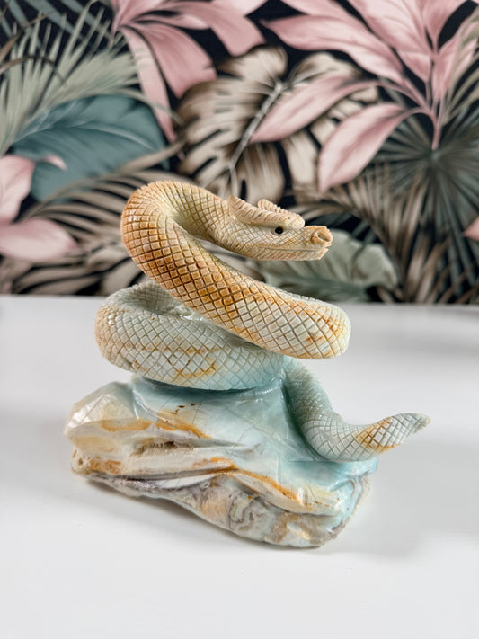 Caribbean Blue Calciet draak met slangen lichaam