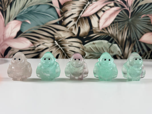 Fluoriet Gorilla’s kies je favo