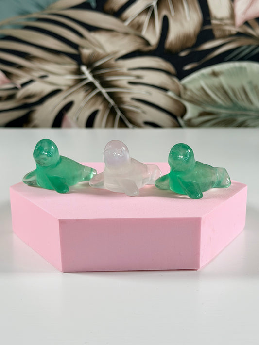 Fluoriet Zeehondjes kies je favo