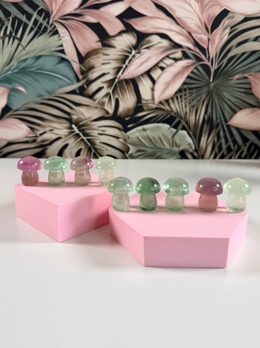 Fluoriet paddenstoel kies je favo