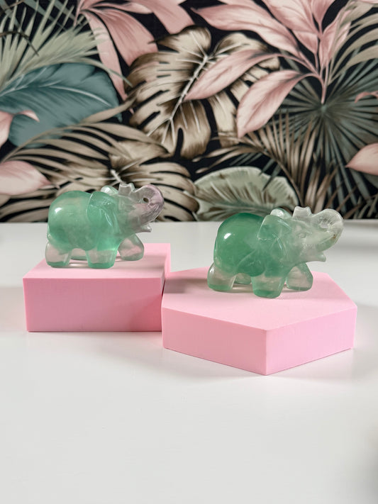 Fluoriet olifant - Kies je favo