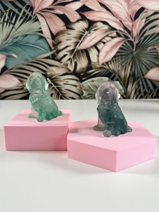 Fluoriet hond - Kies je favo