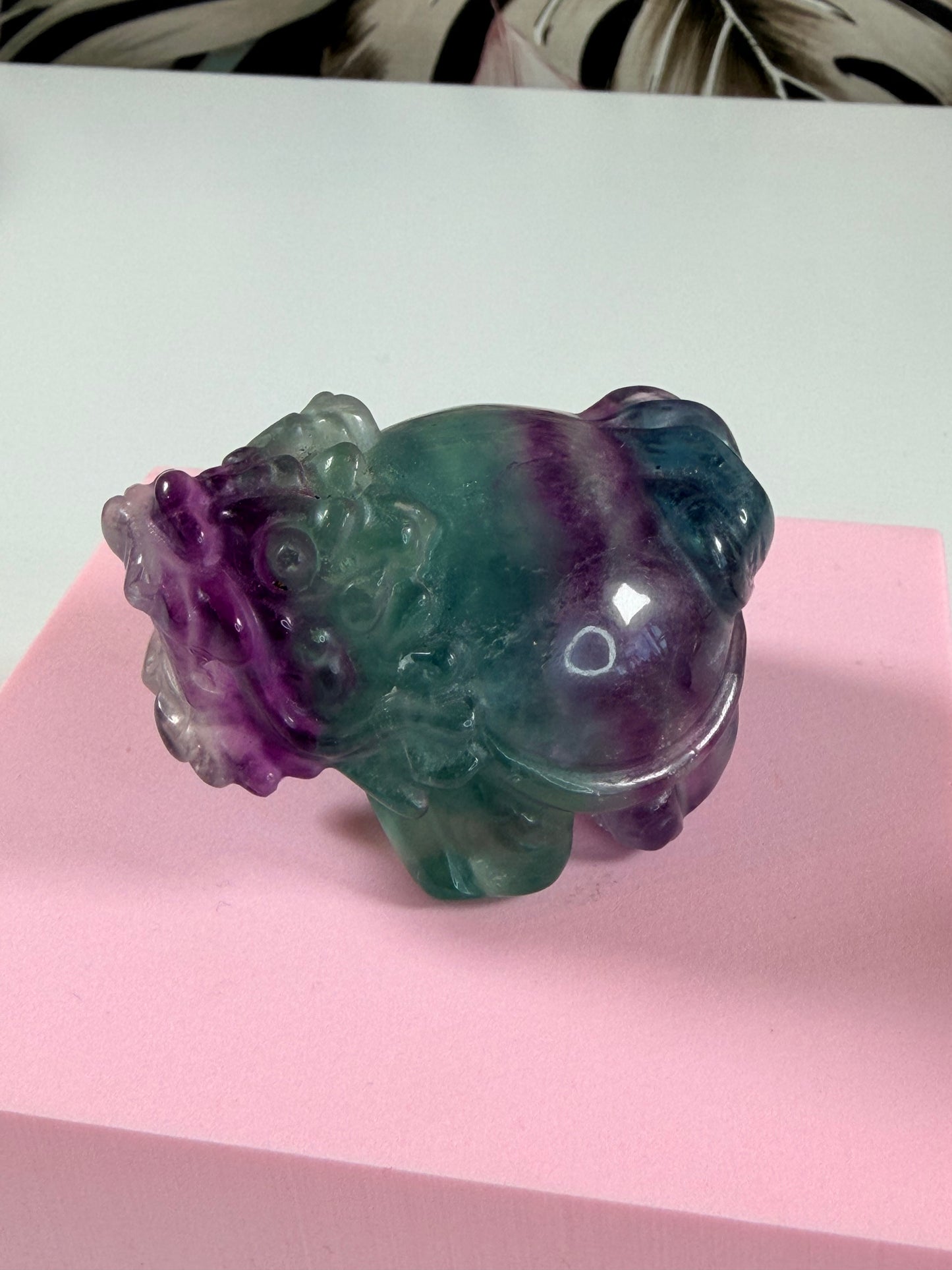 Fluorite Dragon Turtle - Choose your favorite