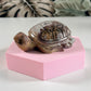 Landschap Jaspis schildpad J1