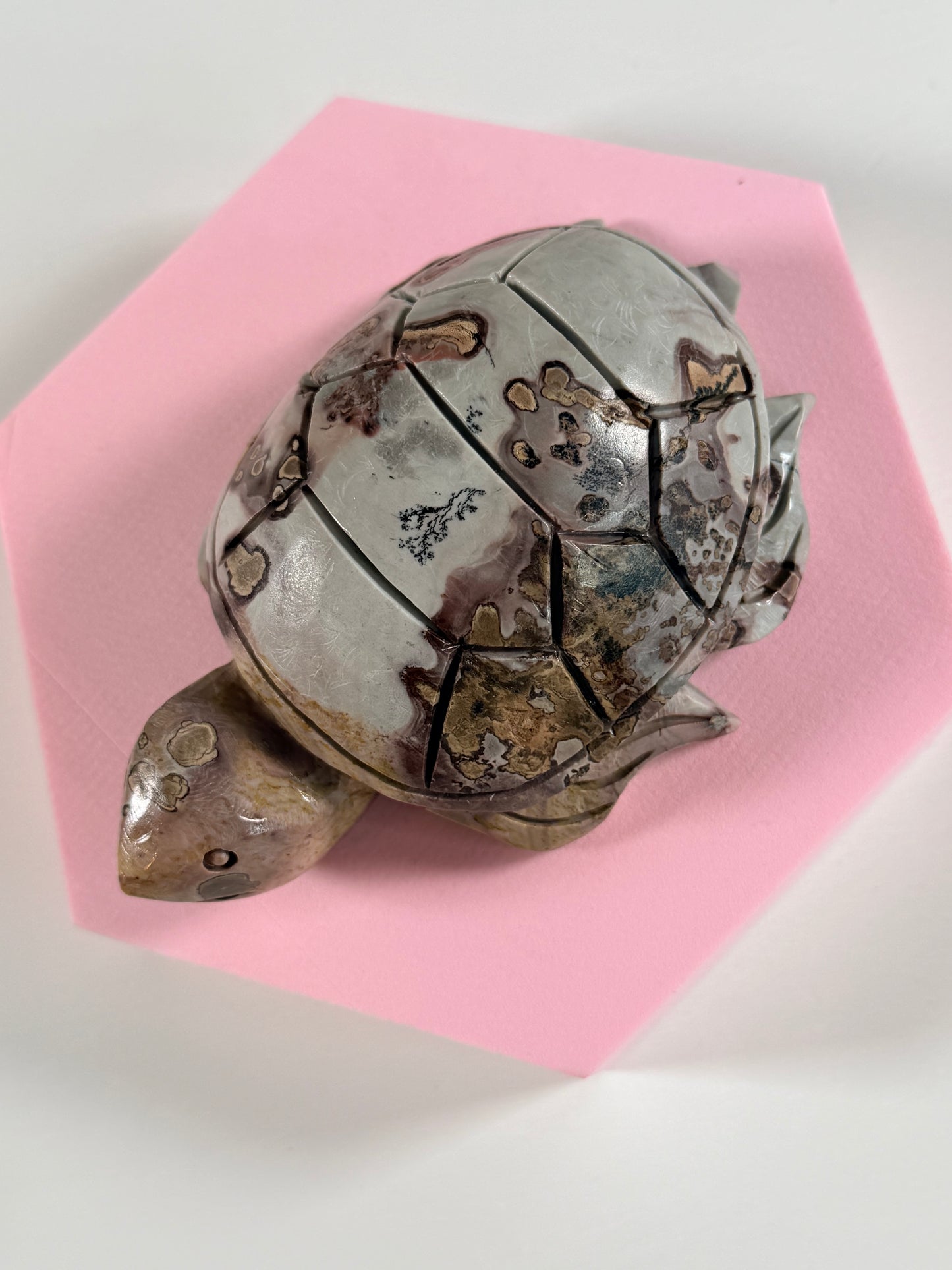 Landschap Jaspis schildpad J1
