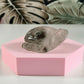 Lodoliet schildpad 1L