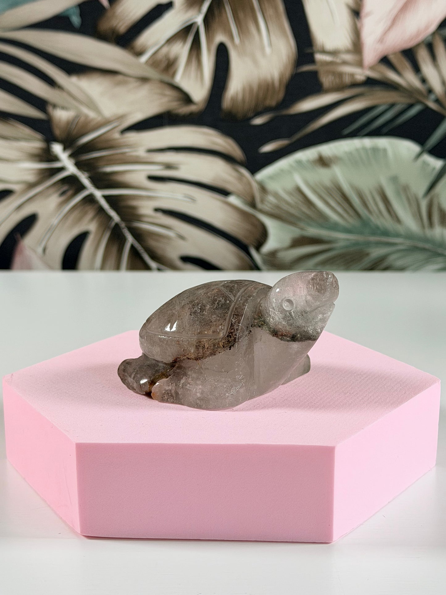 Lodolith-Schildkröte 2L