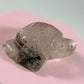 Lodoliet schildpad 3L
