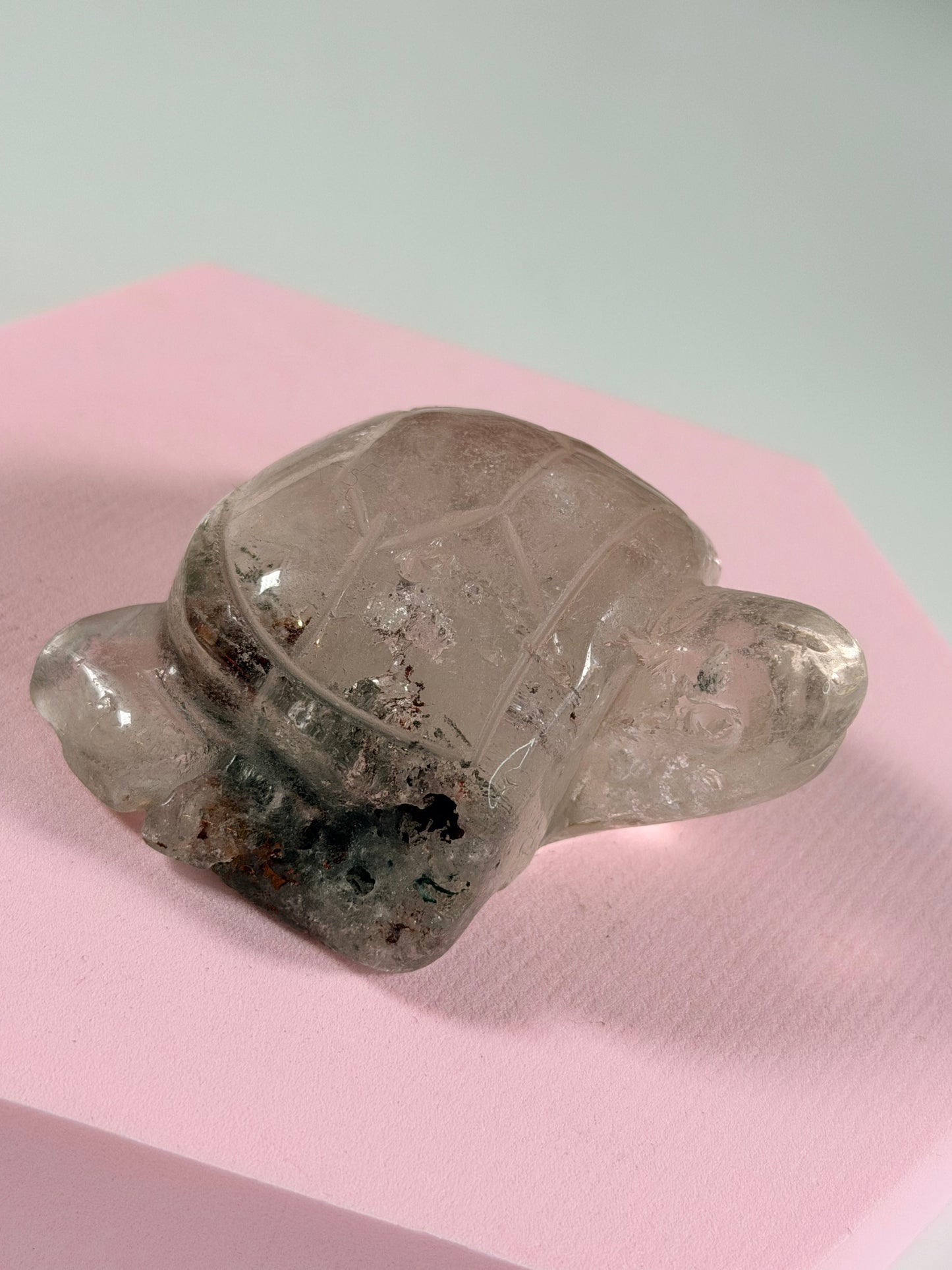 Lodoliet schildpad 3L