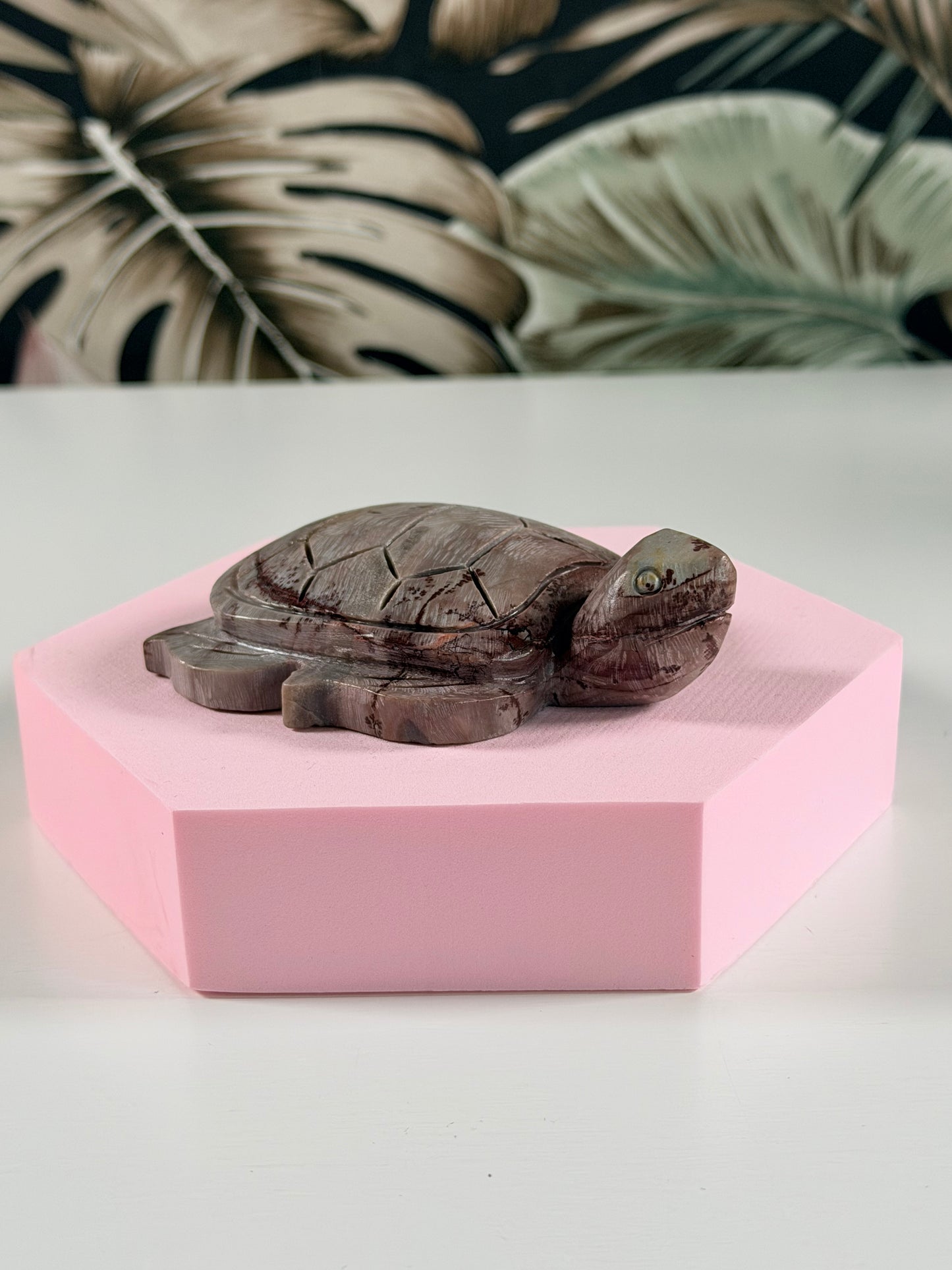 Landschaftsjaspis Schildkröte J2