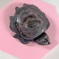 Paarse Mica schildpad