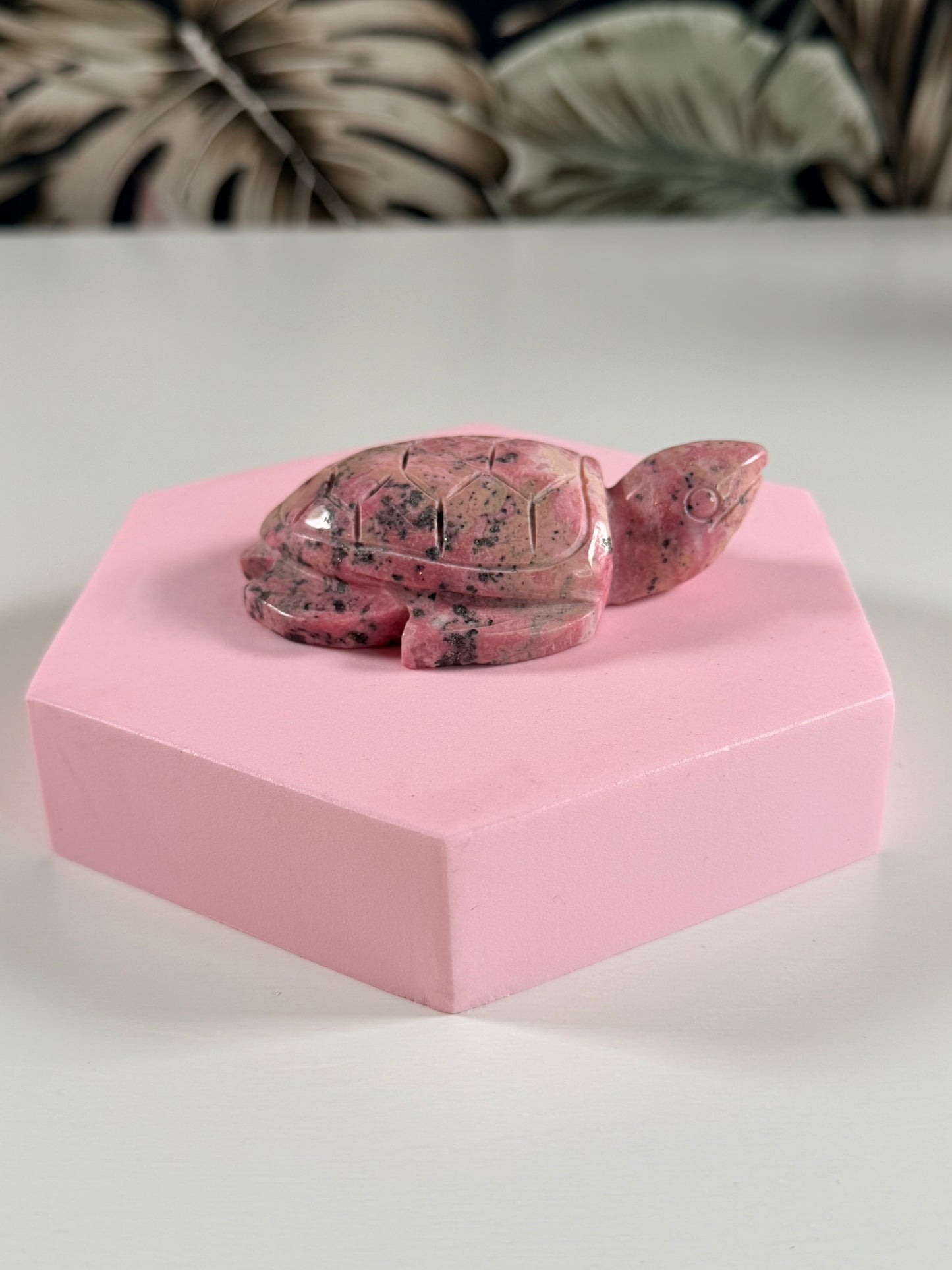 Peruvian Rhodonite tortoiseshell 2P