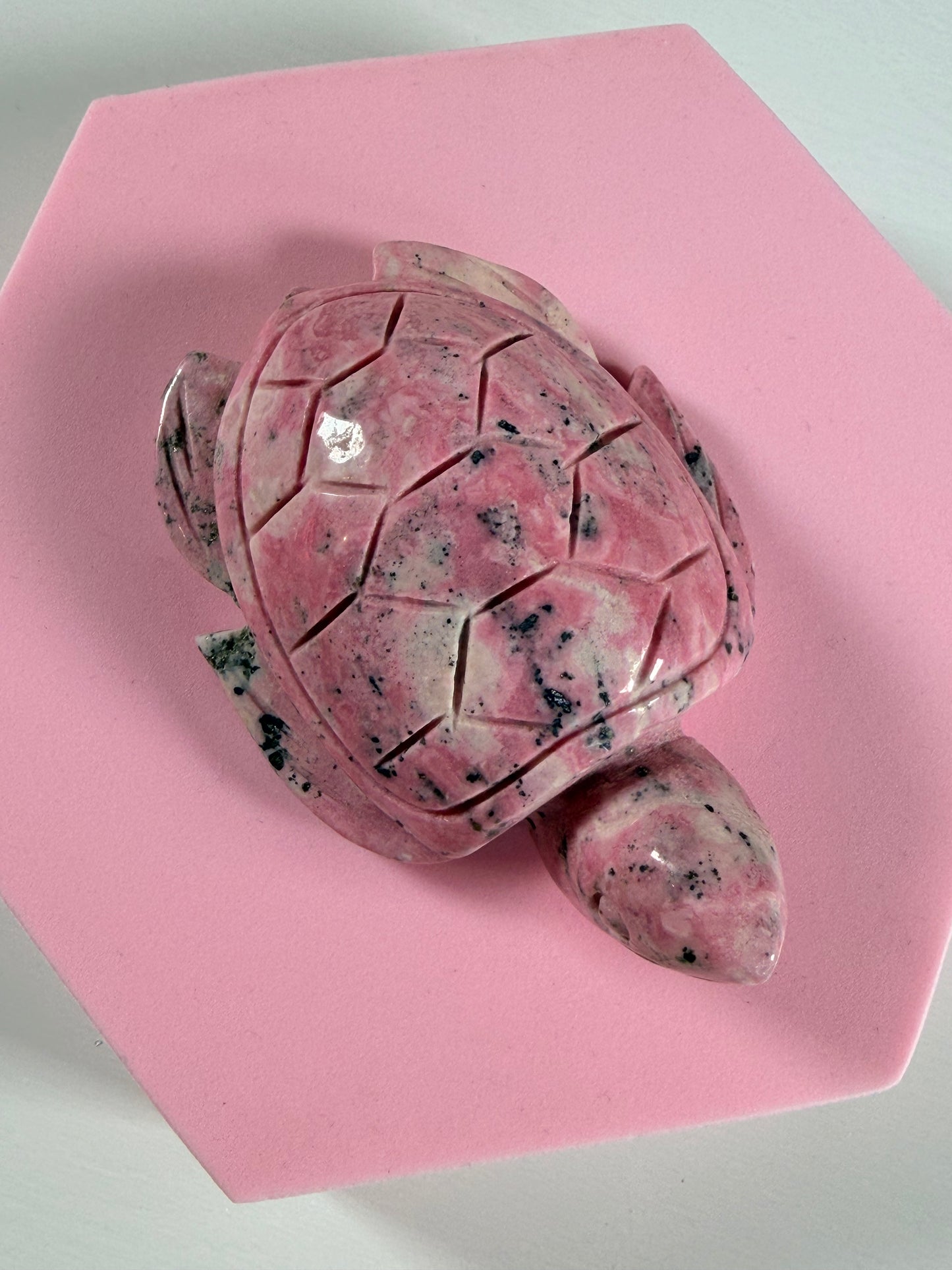Peruaanse Rhodoniet schildpad 4P
