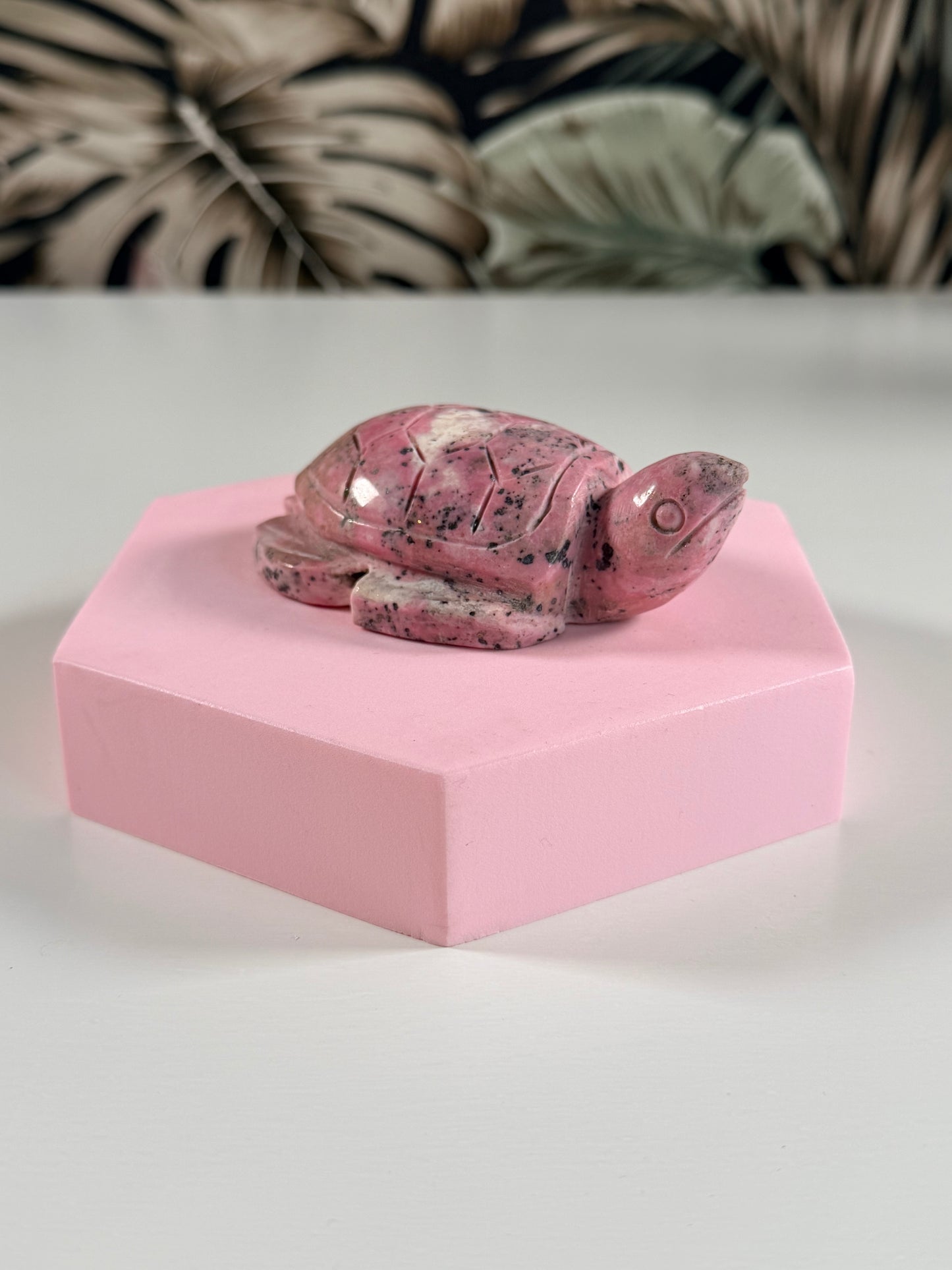 Peruvian Rhodonite tortoiseshell 5P