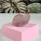 Fluorite turtle 1F