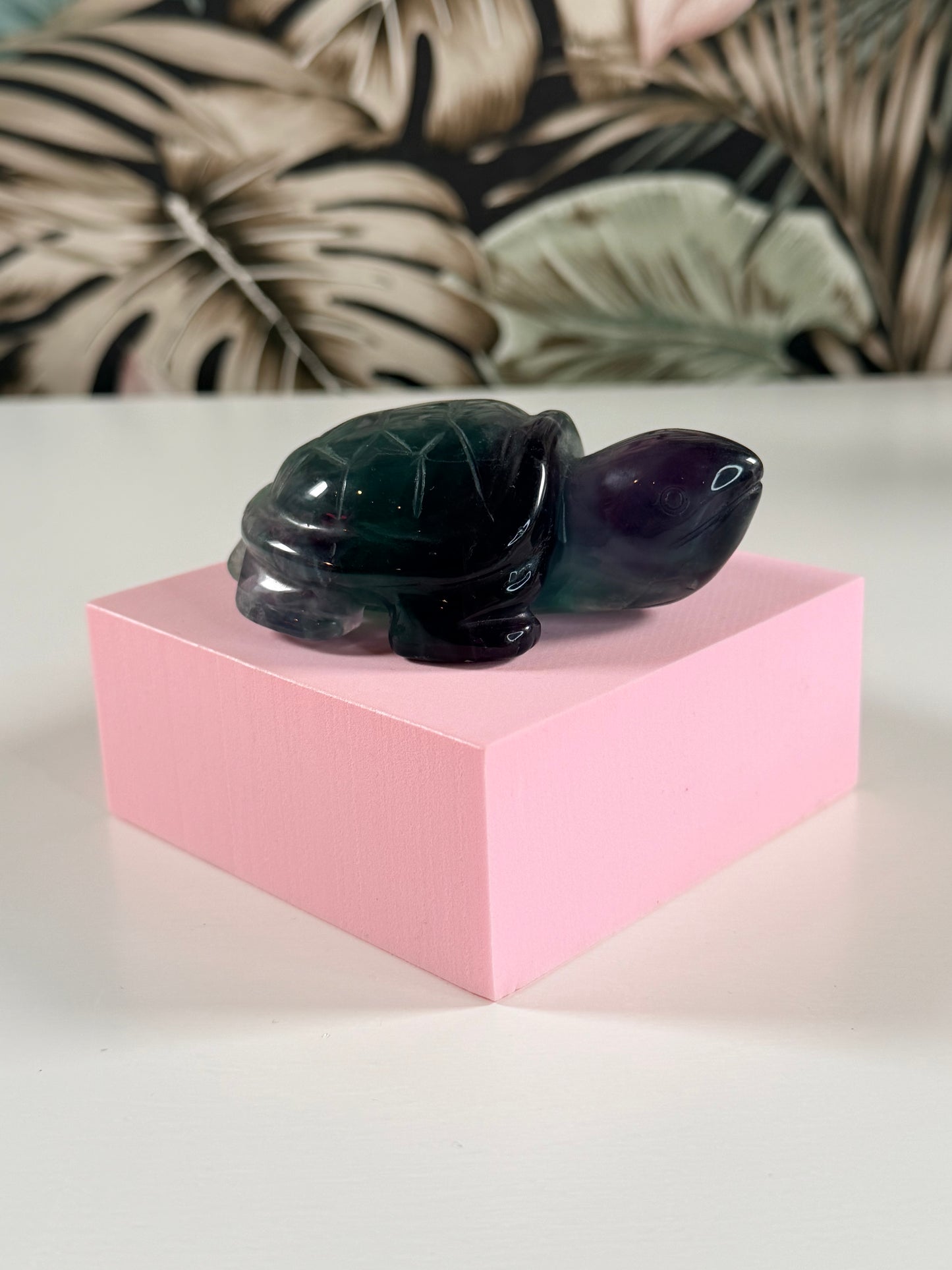 Fluoriet schildpad 4F