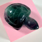 Fluoriet schildpad 4F