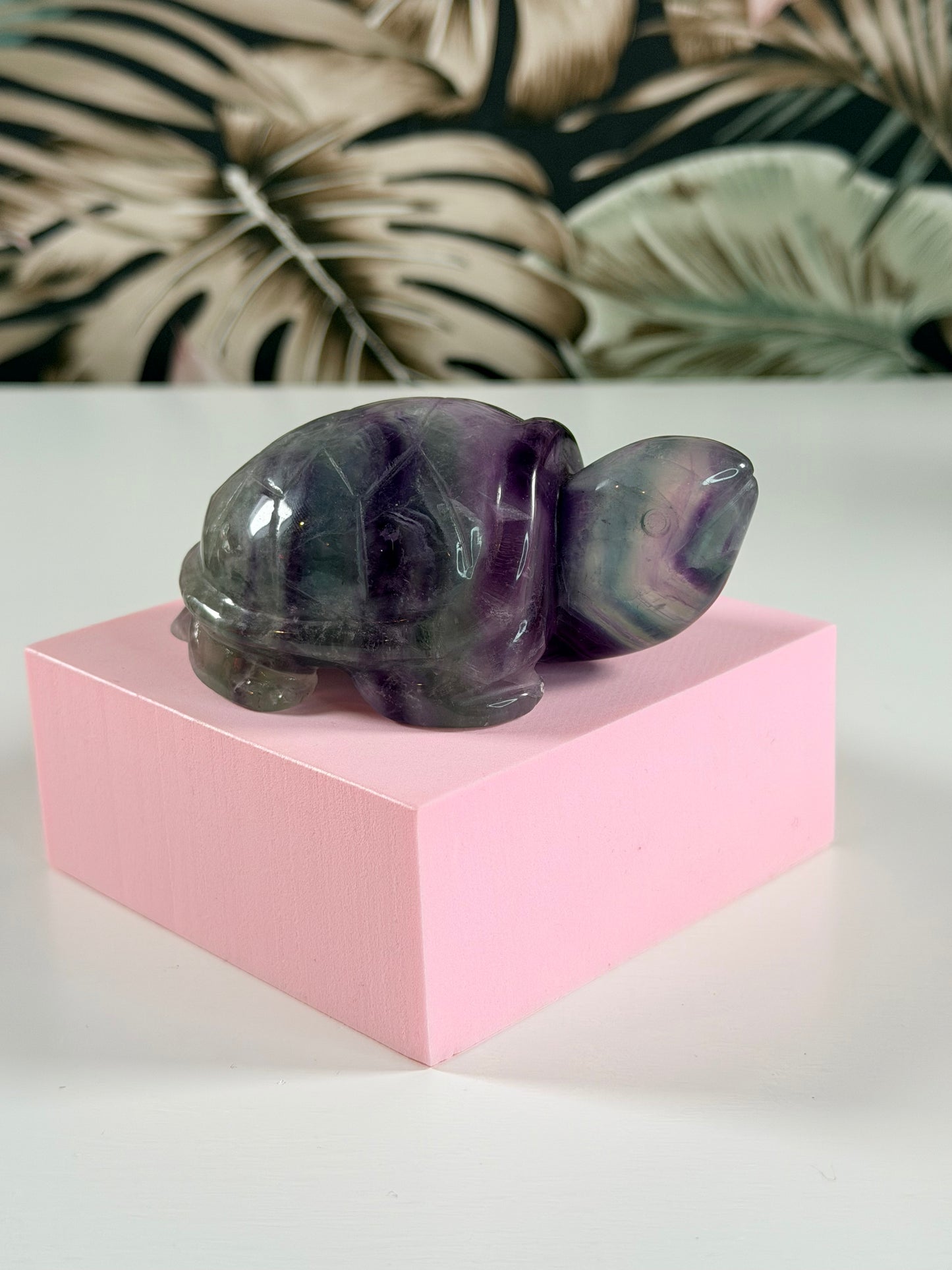 Fluorit Schildkröte 6F