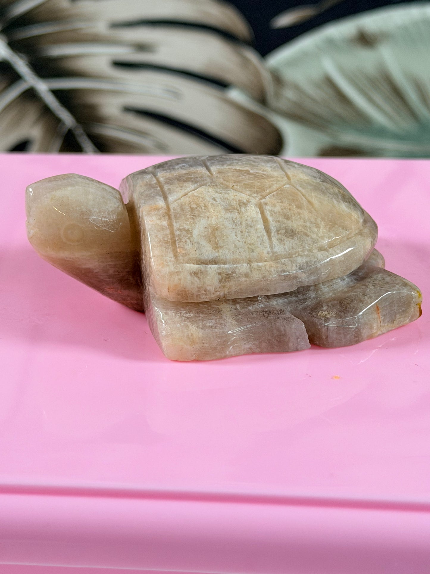 Mondstein Schildkröte 3