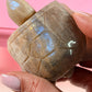 Mondstein Schildkröte 3