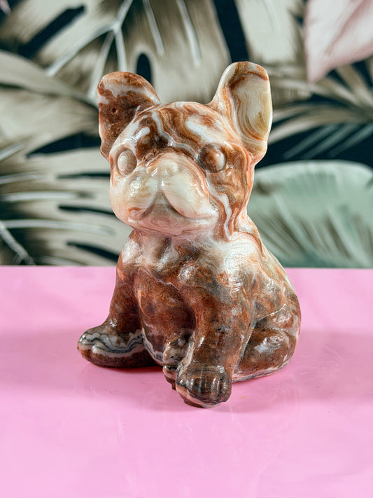 Rode Crazy Lace Agaat franse Bulldog