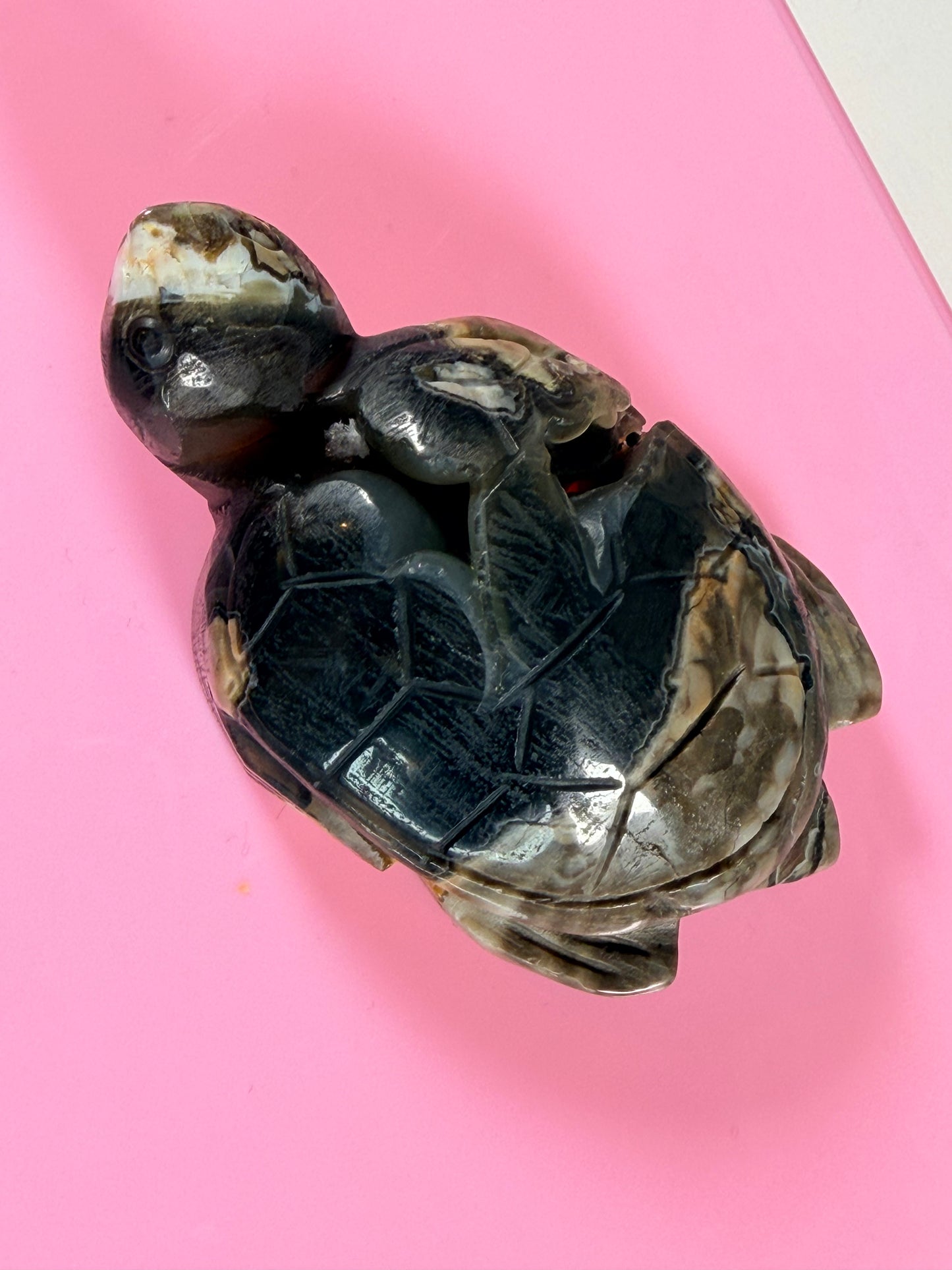 Vulkan-Achat Schildkröte