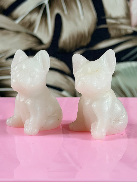 Witte Jade Franse Bulldog - Kies je favo