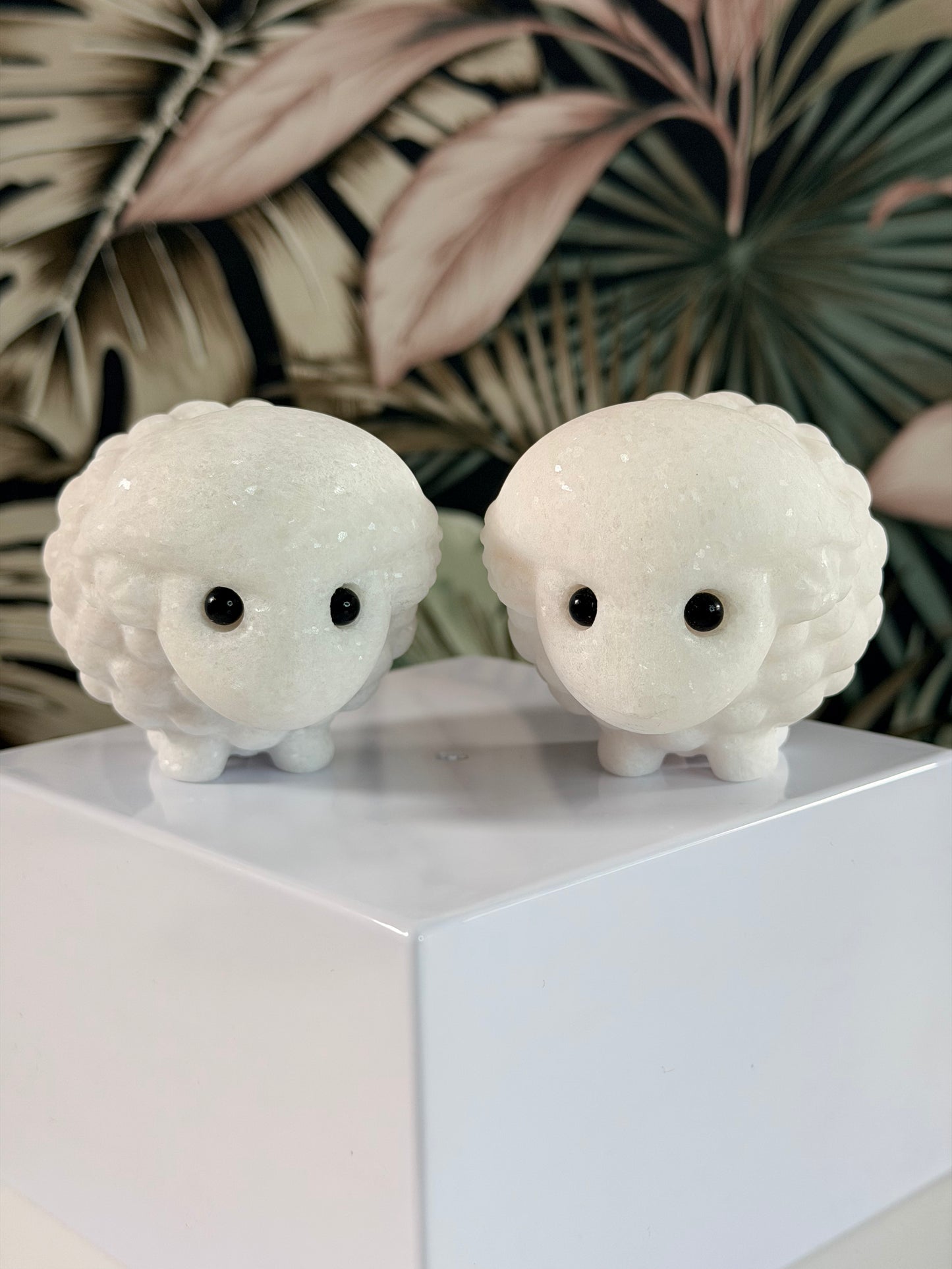 Witte Jade schapen (kies je favo)
