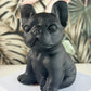 Obsidiaan Franse Bulldog 2