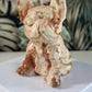 Rode Crazy Lace Agaat franse Bulldog 2