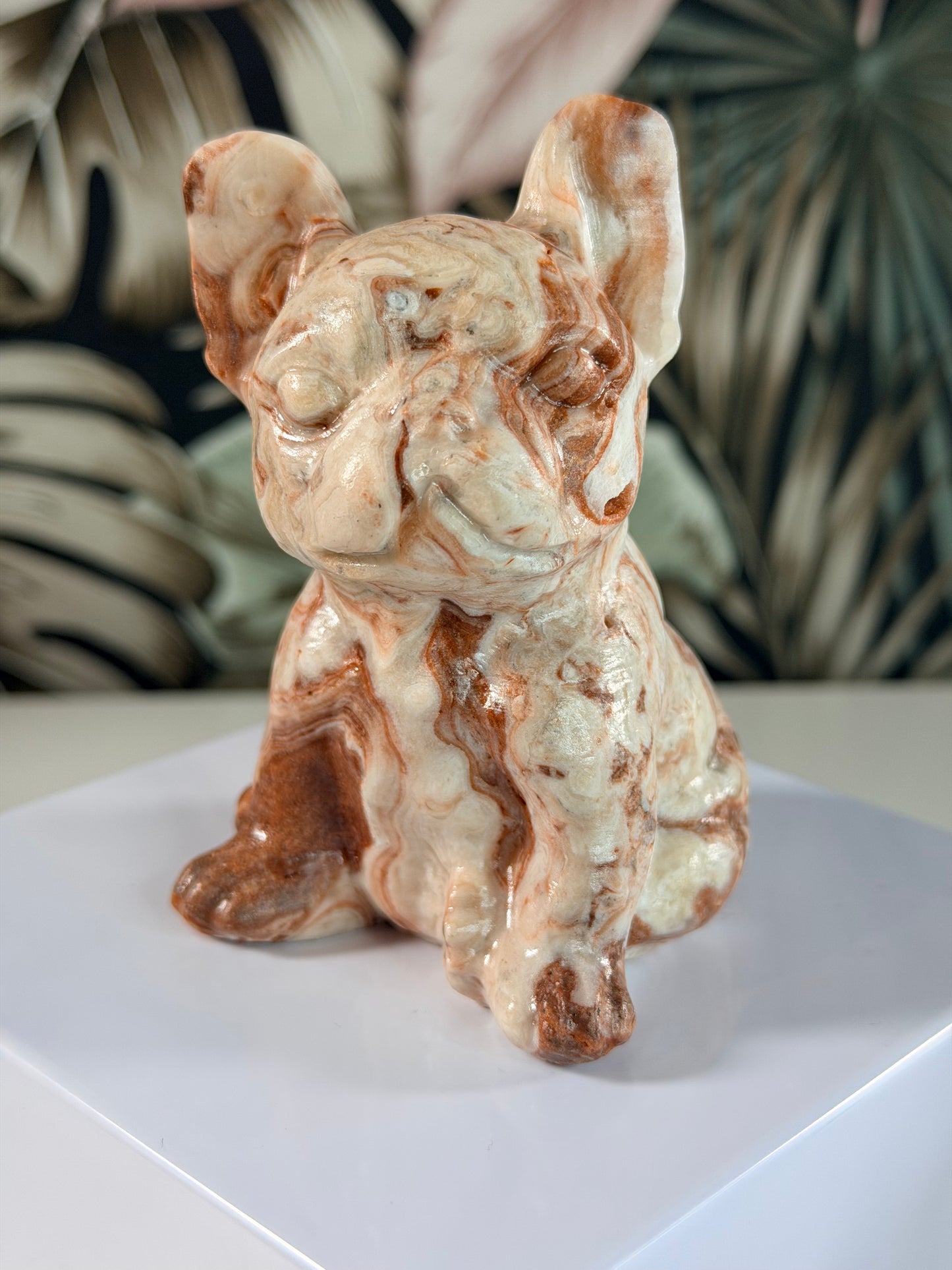 Rode Crazy Lace Agaat franse Bulldog 2