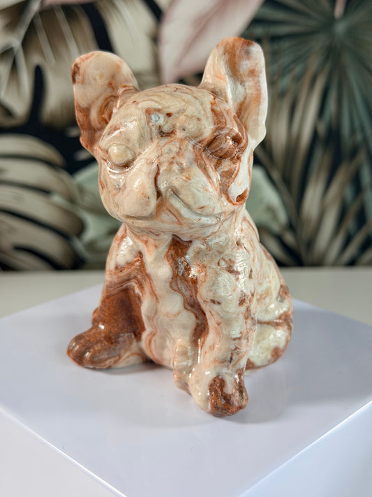 Rode Crazy Lace Agaat franse Bulldog 2