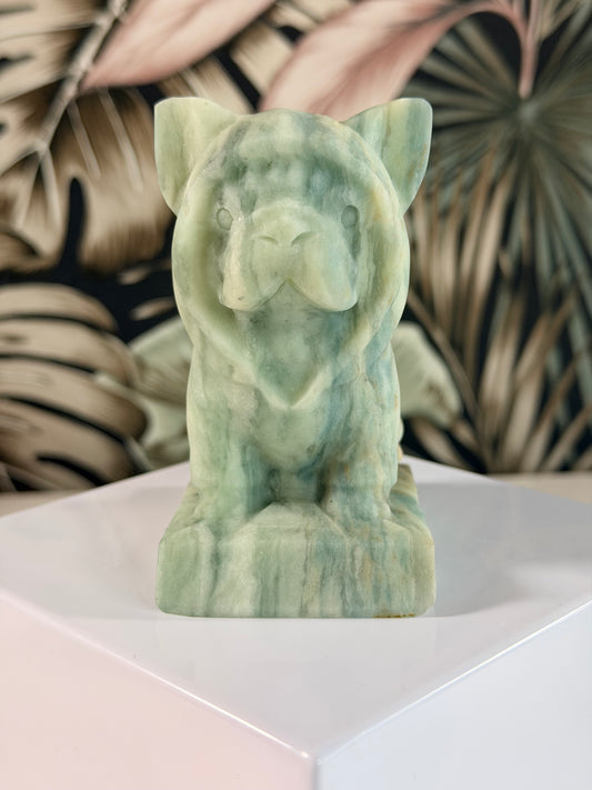 Sky Blue Jade franse Bulldog met hoodie