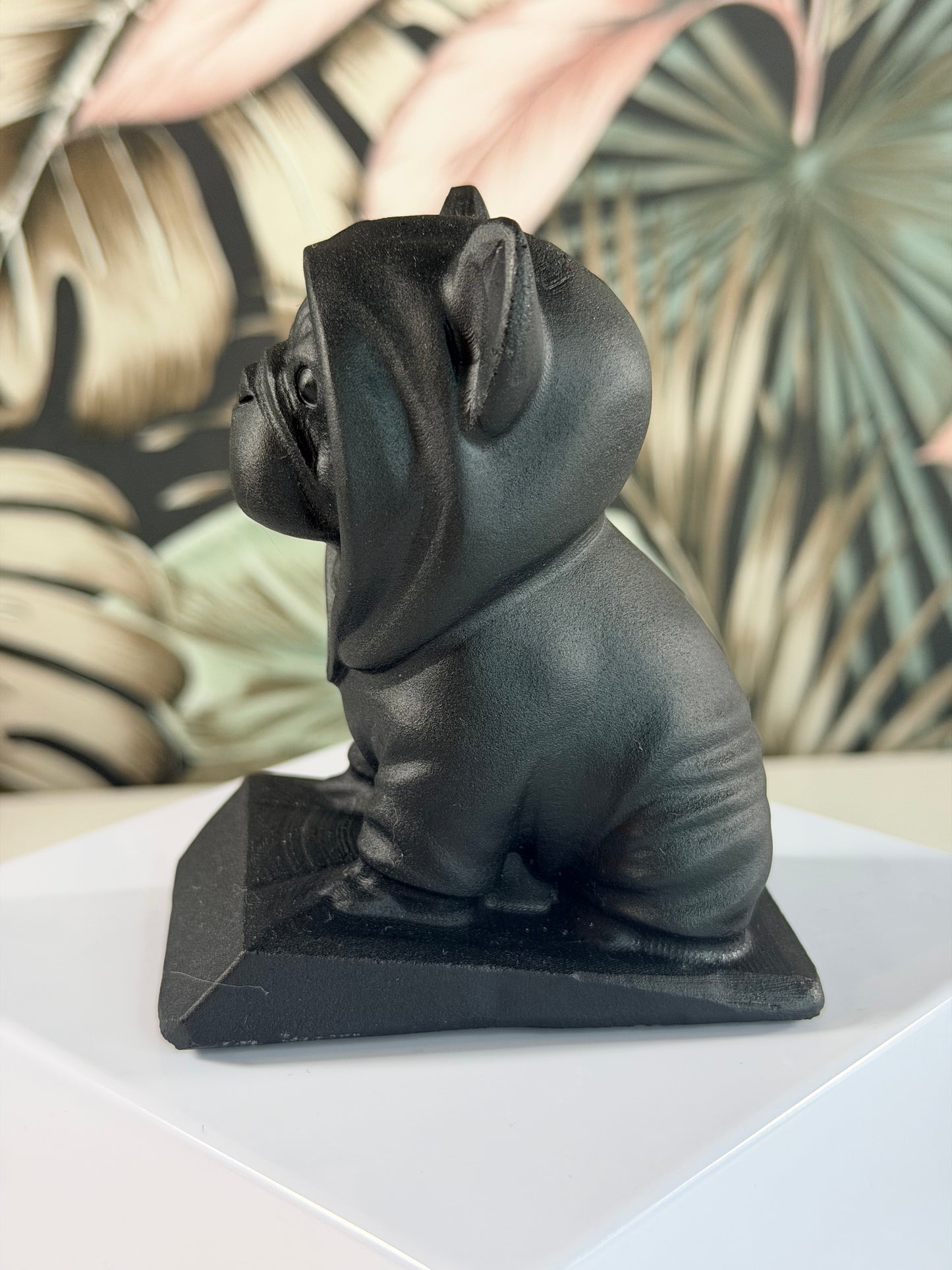 Obsidian Bulldog with hoodie