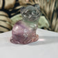 Fluorite cat 2
