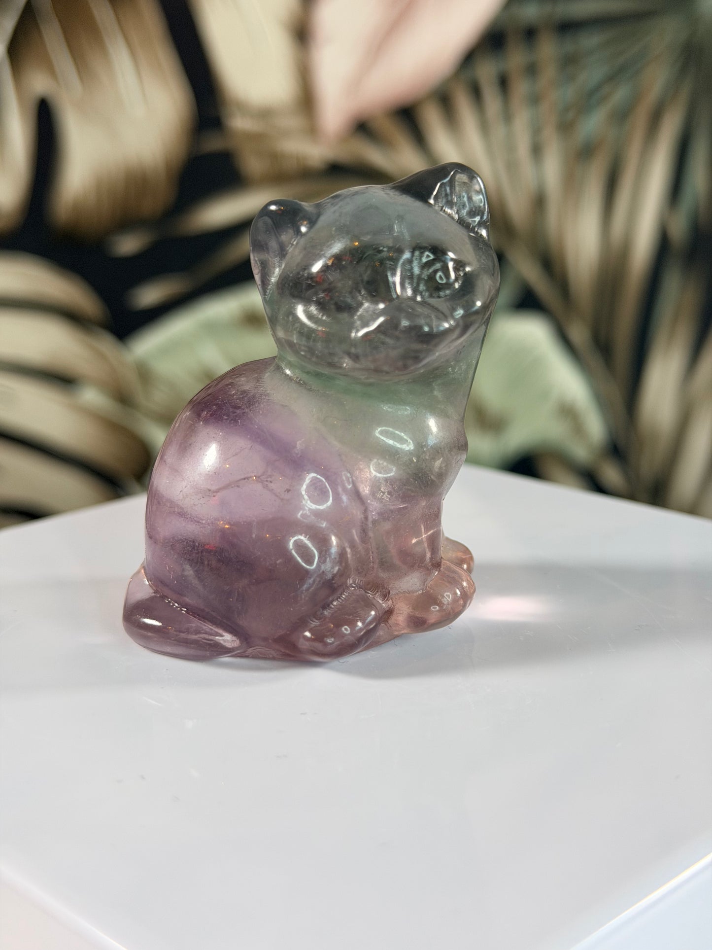 Fluorite cat 2