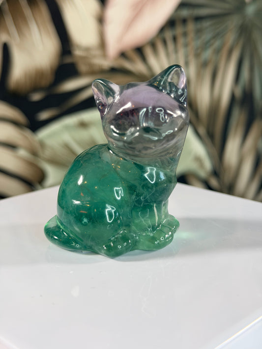 Fluorit Katze 4