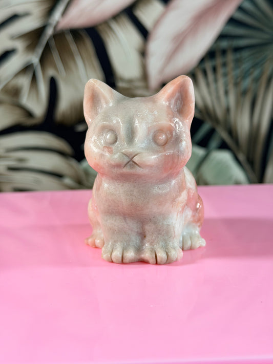 Rosa Opal Katze