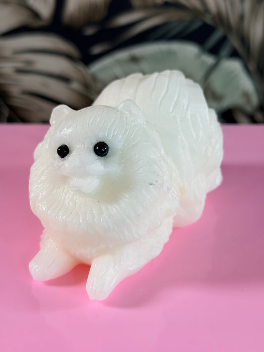 Weißer Jade-Pomeranian