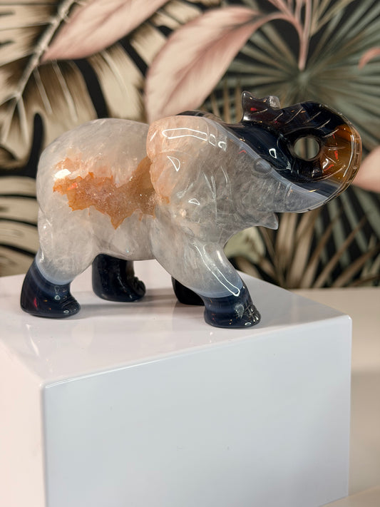 Achat-Elefant 8