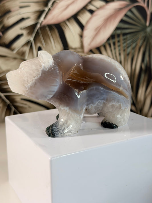 Agaatbär 2