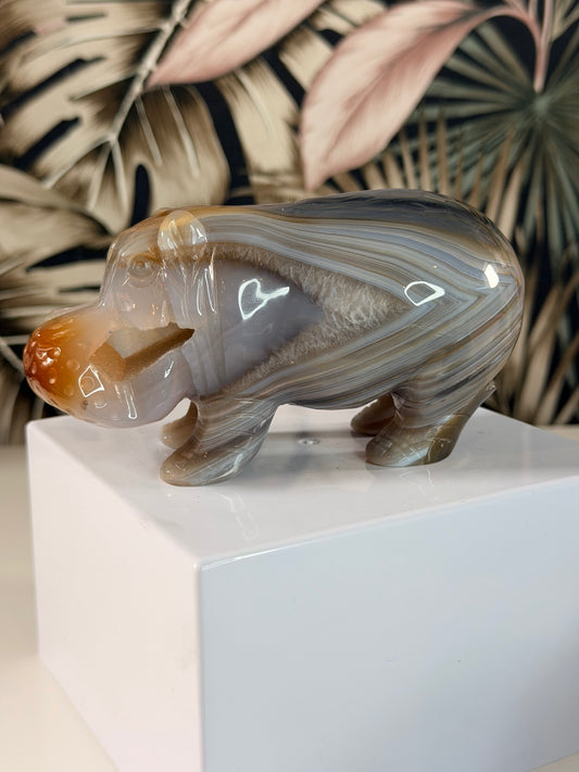 Achat-Nilpferd