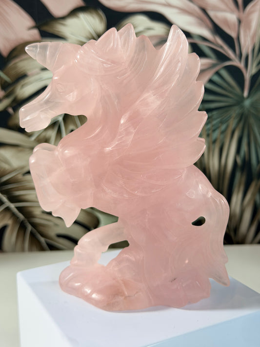 Rozenkwarts Pegasus