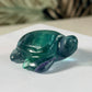 Fluoriet schildpad 1