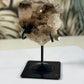 Rookkwarts cluster op standaard 2