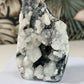 Chalcedon auf Standfläche mit Apophyllit 72c