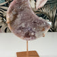 Rosa Amethyst Mond 76