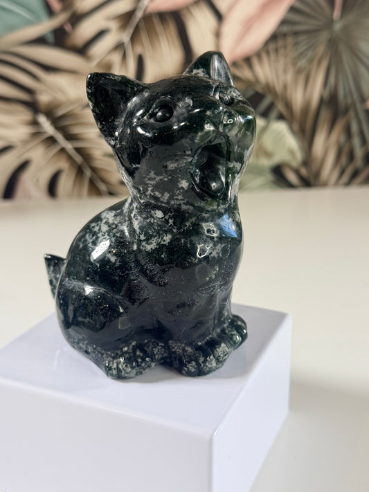 Moss Agate yawning cat