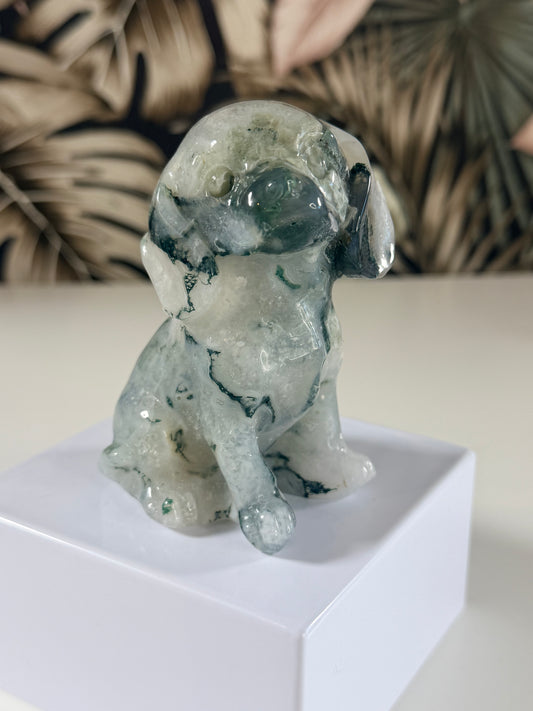 Moss Agate dog 2